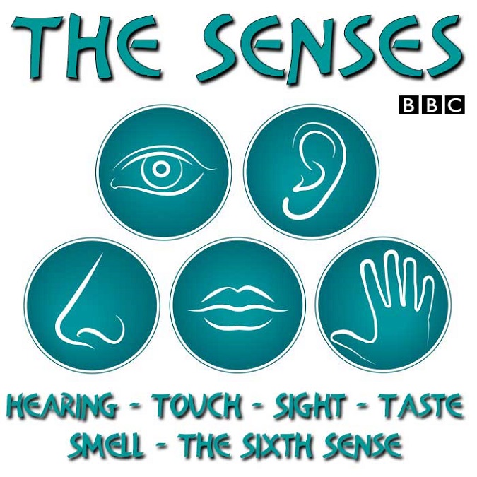 The Senses